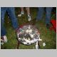 Bild 227.jpg